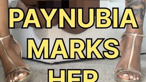 Ebony Goddess Paynubia Catches Disloyal Slave — Extreme Face-Sitting, Piss Marking, Fart Feeding & Permanent Ownership Contract