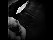 Bigbelow323 fuels raw solo male tension with cum