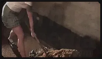 Lorelei Lee's Intense Training Session: Day Four