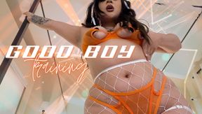 Good Boy Reprogramming