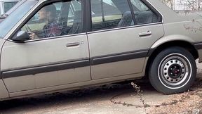 Janita's Sunbird Is Acting Up Pt 2