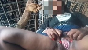 Indian Masturbate by Finger in the Pussy