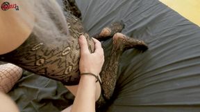 My Girlfriend Violet and I Make Shane's Cock Rock Hard Before He Fucks Her in the Ass While I Film Them
