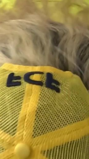 My Stepmom lost bet in Argentina vs Colombia final and she sucks it   Clip 1