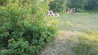 Teen masturbates in the woods and gets fucked by a stranger! LustTaste 4K