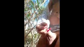 atriz porno gozando no matagal da zona, travesti sabrina prezotte 20cm de prazer...