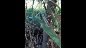 atriz porno gozando no matagal da zona, travesti sabrina prezotte 20cm de prazer...