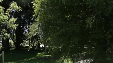 Trashy Kiwi MILF pisses on park bench in full view of public