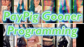 PayPig Gooner Programming
