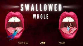 Swallowed Whole - Giantess Vore ASMR