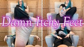 Damn Itchy Feet wmv