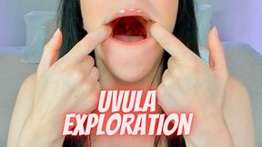 Uvula Exploration Fetish (WMV 1080)