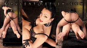 Strap-On Lovers