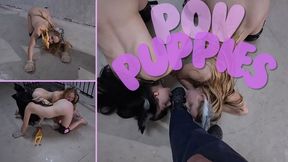 POV puppies - wmv 1080p