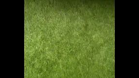 Petite compilation de cette derni&egrave_re matin&eacute_e au Cap