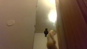 Mirrror Buttplug Play It's Been a Long Fucking While Since I've Had Anything in My Fucking Ass