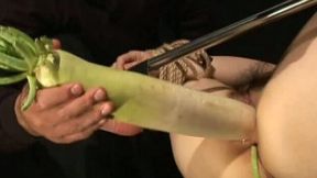 Fixed busty Japanese black head gets pussy drilled with huge radish