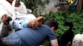 You belong on all fours like the other pets (Full HD 1080p MP4)