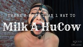 THERE'S MORE THAN ONE WAY TO MILK A HUCOW