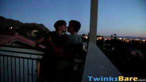 Bareback anal with young twinks after make out session