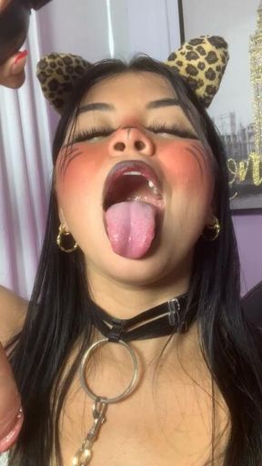 Your kitten wants milk