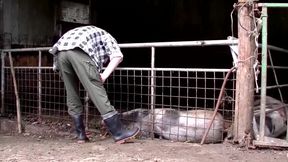 Farmer Gets a Visit to Fuck and Blow