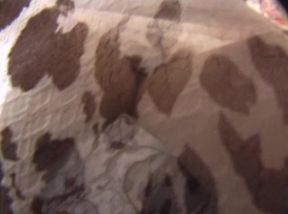 Asian Babe's Steamy Train Compartment Encounter - Wild Ride Unfolds