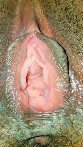 Bangladeshi Bangali Hindu boudi close-up pussy you want to suck and fuck.