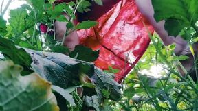 Nude sexy Village Desi hot Indian Bhabhi