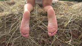 Video in a Hayloft. First Outdoor Shoot