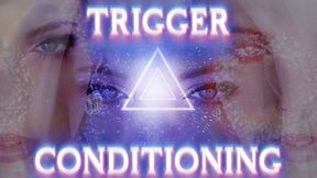 TRIGGER CONDITIONING LOOP