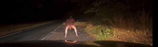 Wanking totally naked at side of road . Showing off for van