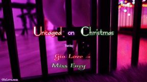 Uncaged on Christmas (WMV 1080P)