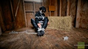 Nyxon A Lesson In Bargining Pt 2 HD 720p MP4