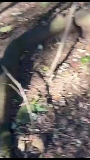 The Naughty Girl Boyceta Took Me for a Walk and We Ended up Getting Naked in the Park