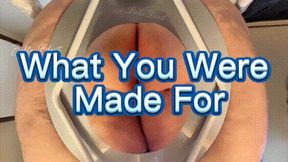 Toilet Slavery: This Is What You’re Made For by Bella Blast