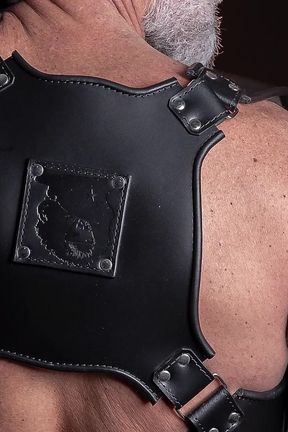 Stop Homophobia Gar Lighting