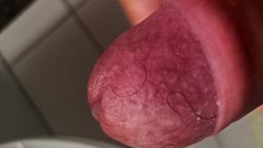 Dirty Dick Cuming at Work