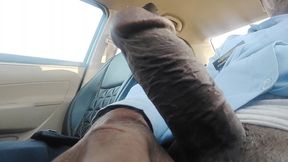 Indian Cock