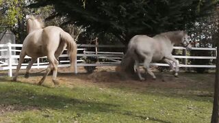 Double the Trouble Rebel Rhyders Anal Delight