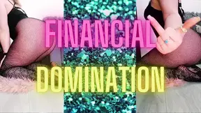 (40) FINANCIAL DOMINATION