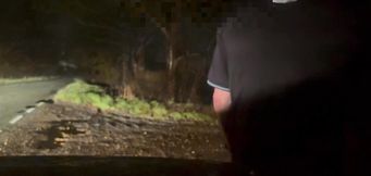 Bottomless when cars pass then naked hiding behind a tree