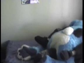 Fursuit
