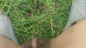 PEE PEE NEAR GRAPRE TREE