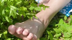 feet in the grass