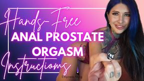 Hands Free Anal Prostate Orgasm Instructions