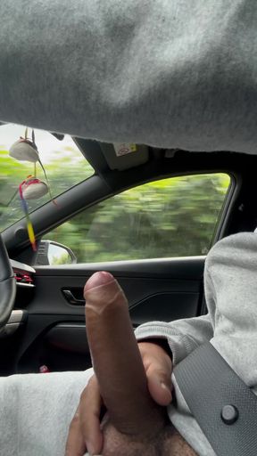 Hands on the Wheel, Dick in the Hand -