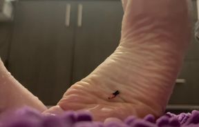 Mike's great adventure