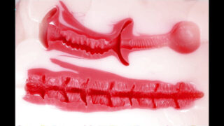 Pria-pria Amerika bertubuh berisi diolesi minyak, masturbasi, dan menerima penetrasi anal.