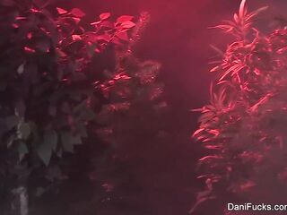 Enjoyment on porn set Behind the Scenes With Dani Daniels